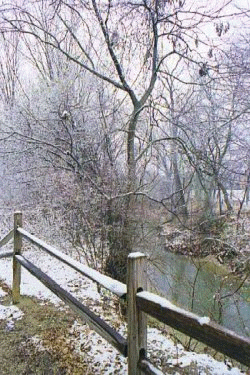 Bear Creek Park Seasons