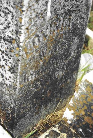 Lovinia E. Vickrey Walker