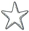 stellate